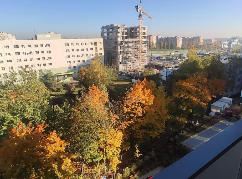 New 69 Apartment Szybowcowa Centre Katowice Free Parking 외부 사진